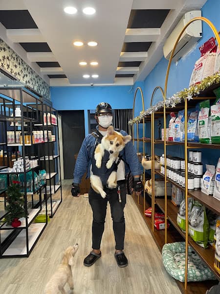 Hình ảnh PET WORLD VIỆT NAM - Khách sạn thú cưng Quận 7 - 4