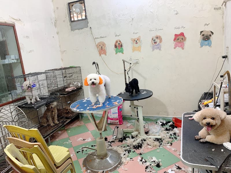 Hình ảnh Phòng khám thú y -Spa HAPPY PET - 3