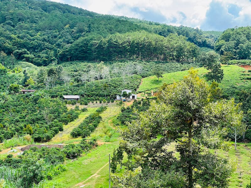 Hình ảnh Coffee View - 3