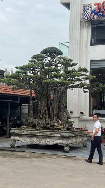 Hình ảnh Nhà hàng Sông He - 2