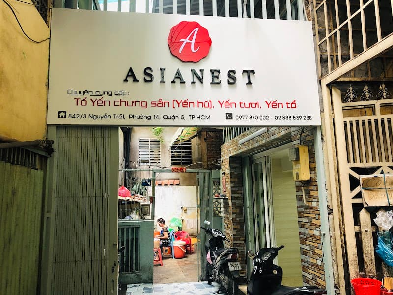 Ảnh bìa Tổ Yến Chưng Sẵn ASIANEST