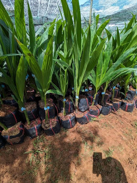 Hình ảnh Karaoke D. Max - 2