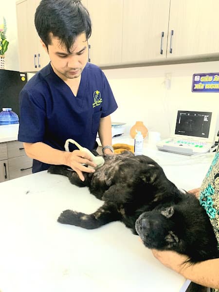 Hình ảnh Bệnh Viện Thú Y HALO VET - Buôn Ma Thuột - 6