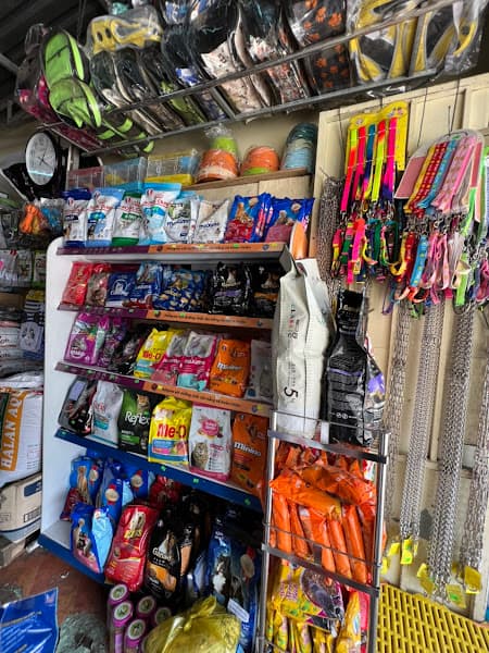 Hình ảnh Thú Y Sơn Tùng - 2