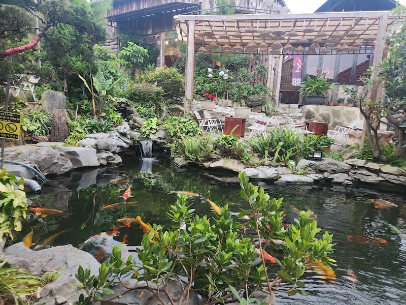 Hình ảnh Hana's Mushroom Restaurant-Lẩu nấm, buffet rau,BBQ& Coffee - 2