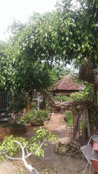 Hình ảnh Cà Phê Sỏi Đá - 2