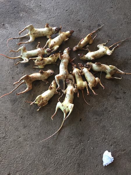 Hình ảnh Quán Ăn VỤ BÉO - 3