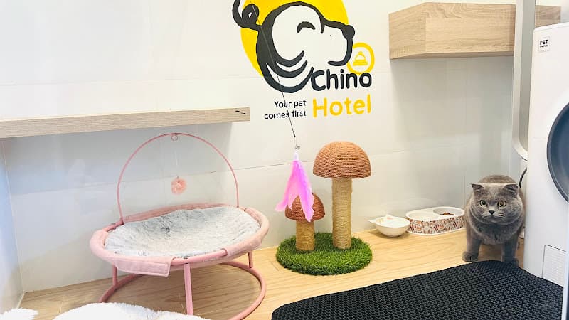 Ảnh bìa Chinopet - Your Pet Comes First