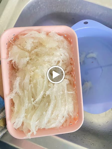 Hình ảnh Yến Sào Khánh Hoà - Phạm Gia ( Phạm Gia Nest ) - 2