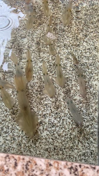 Hình ảnh Nhà hàng YẾN TÍN - 4