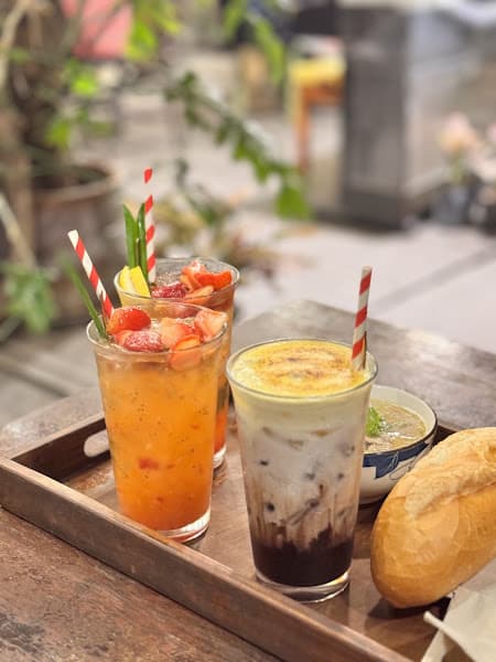 Hình ảnh Cú Trên Cây Coffee - 2