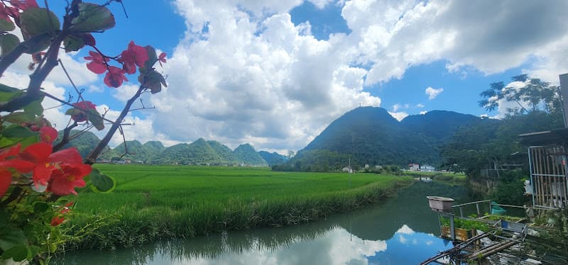 Hình ảnh NHÀ HÀNG HIỆP HOA BẮC SƠN - 2