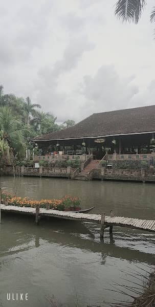 Hình ảnh Trại mèo Cần Thơ - Chescy House - 3