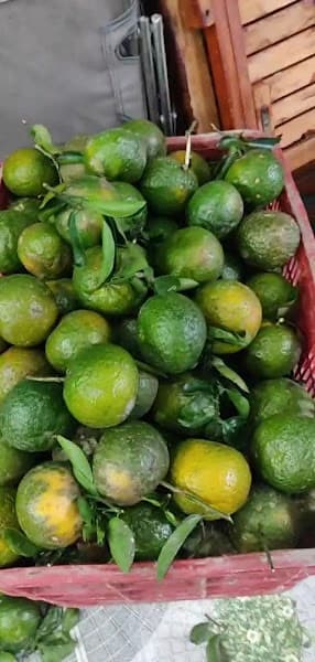 Hình ảnh Nước Ép - Sinh Tố Trái Cây Tươi Mộc Trà - 2