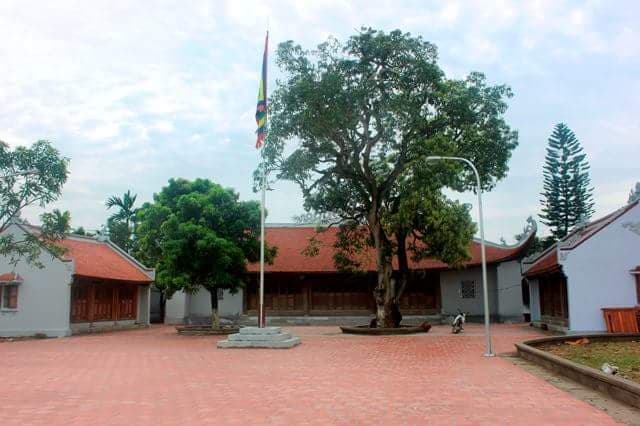 Ảnh bìa Đình Đầu,xã Hợp Tiến