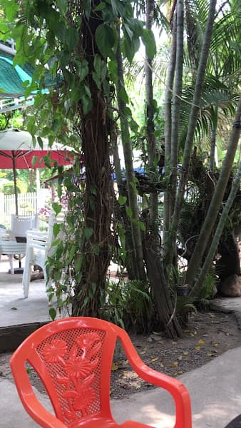 Hình ảnh Cafe Trịnh - 4