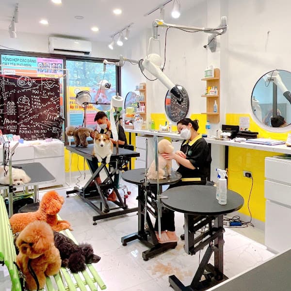 Hình ảnh Shiny Pet Spa & Hotel - Spa thú cưng cao cấp Đống Đa Hà Nội - 2