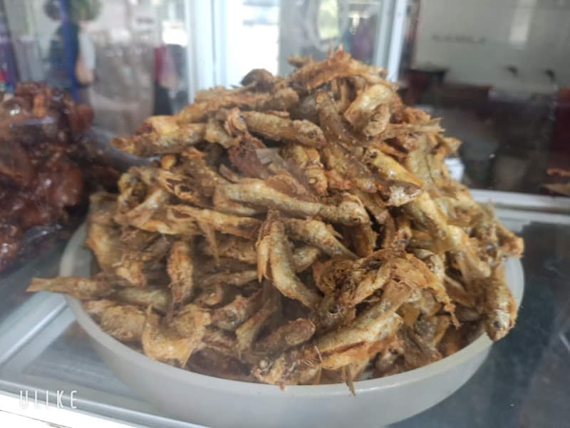 Hình ảnh Nhà hàng Dũng Đông - 9