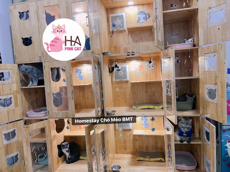 Hình ảnh Pate Tươi Sạch Chó Mèo BMT - 3