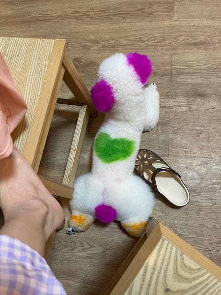 Hình ảnh Spa thú cưng Tuyên Quang - Tiệm cắt tỉa lông chó ( Phạm Nương) - 2