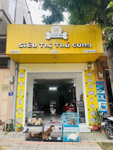 Hình ảnh Lup Pet Shop - 2