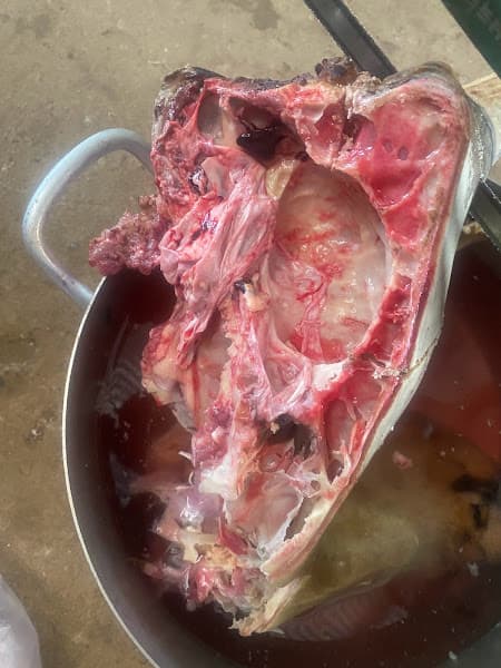 Hình ảnh Lẩu đuôi bò - Quán Phở - Bún Bò NGUYỄN NGA ( Bún riêu, Hủ tiếu Miền tây ) - 6