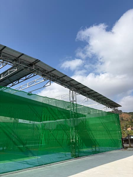 Hình ảnh Tiền Phong Pickleball - 4