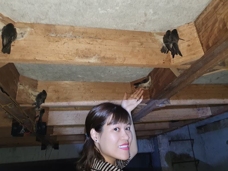 Hình ảnh Yến sào Thành Hồng - 5