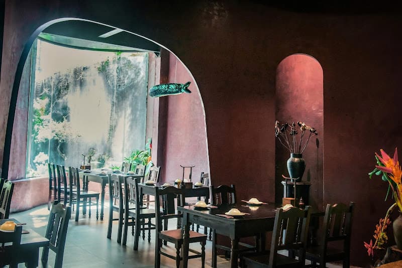 Ảnh bìa Vô Ưu Chay