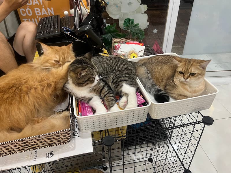 Hình ảnh EnBi’s PetShop - 7