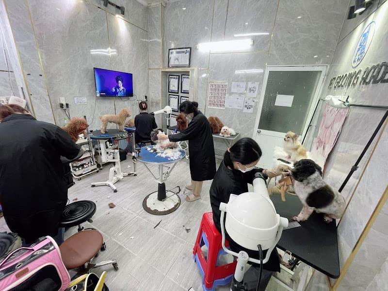 Hình ảnh Thú Y Cần Thơ - PA pet - 5