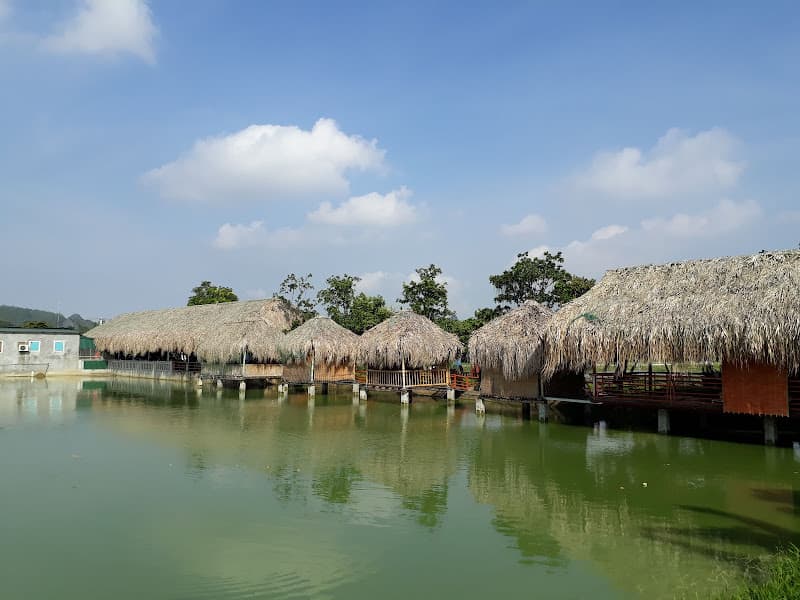 Hình ảnh Nhà hàng Đồng Quê - Ba Cô - 8