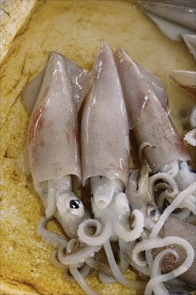 Ảnh bìa Đức Út Hải Sản Tươi Sống