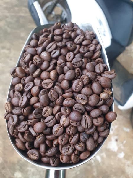 Hình ảnh Cafe Hoàng Phương - 2