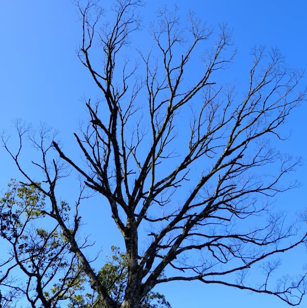 Hình ảnh Giặt sấy Hường Tuyển - 5