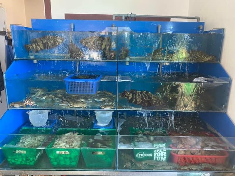 Ảnh bìa Hải Sản Ô BÀN CỜ Cửa Việt