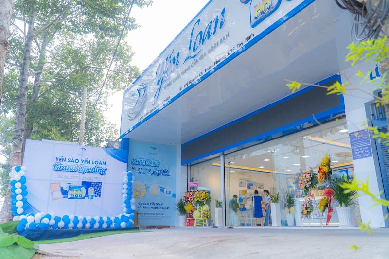 Ảnh bìa SÂM YẾN TÂY NINH