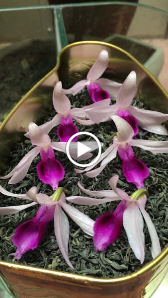 Hình ảnh Quán Cây Tre - 5