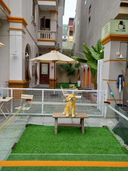 Hình ảnh PET SHOP - PET HOUSE - 3