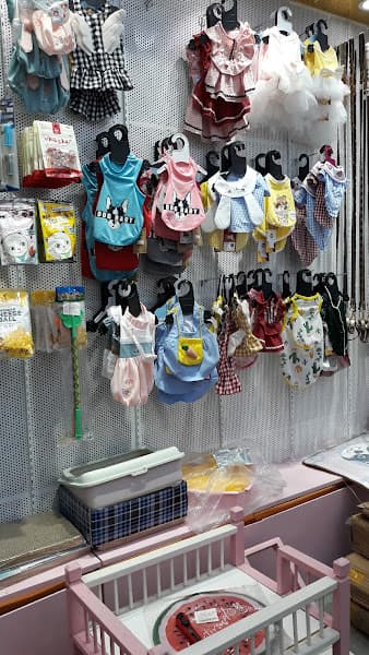 Hình ảnh Cắt Tỉa Lông Chó Mèo - KIMI PET Grooming Salon - 3