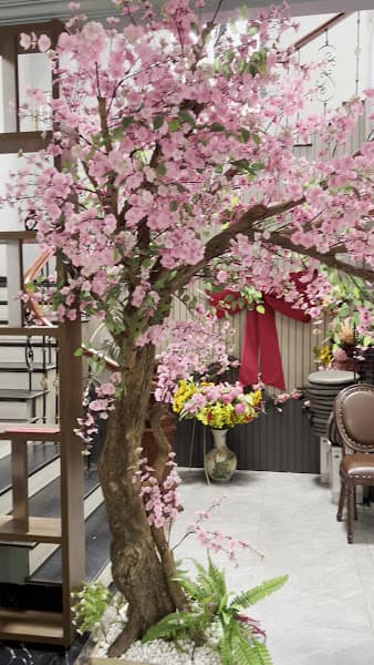 Hình ảnh Lavi Cafe - 4