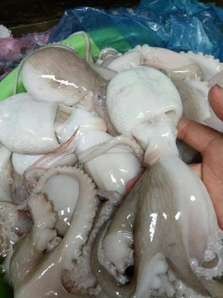 Hình ảnh Hải Sản Tươi Sạch Chợ đầu mối Phú Hậu - 3