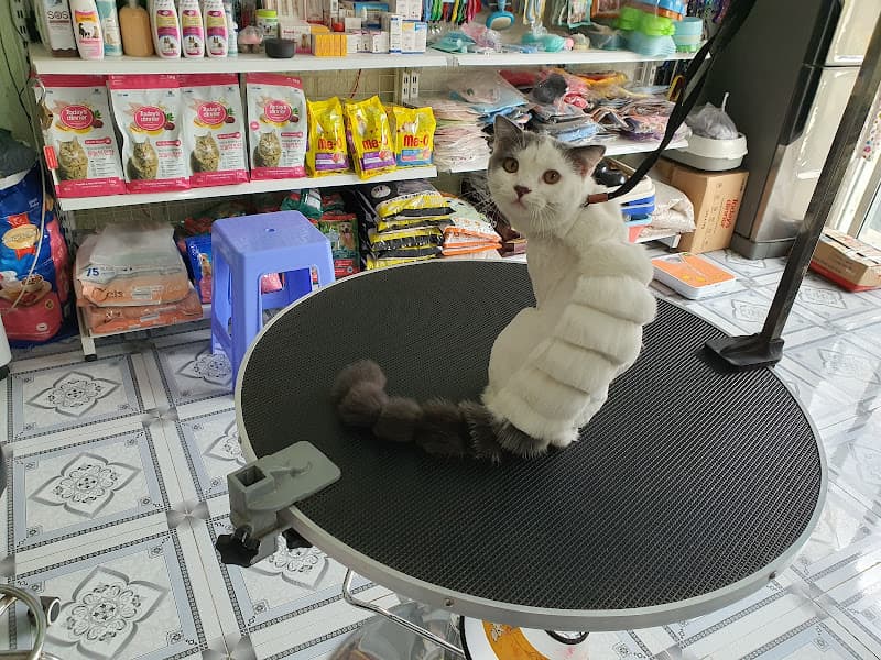 Hình ảnh 🐶 Gia Hân Pet 🐶 - 5