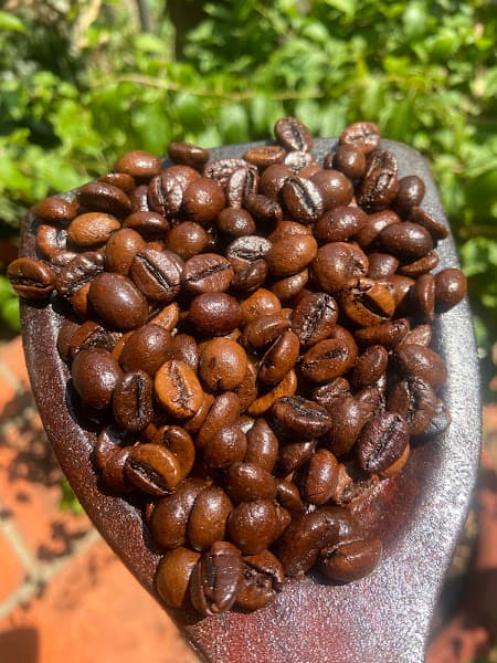 Hình ảnh Cà phê Thạch - 5