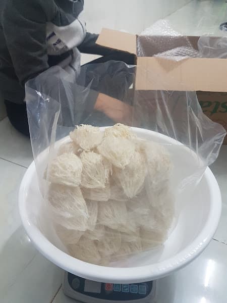 Hình ảnh Yến Sào Xứ Việt - 3