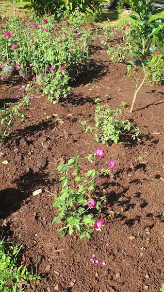 Hình ảnh Đặng Gia Coffee - 8