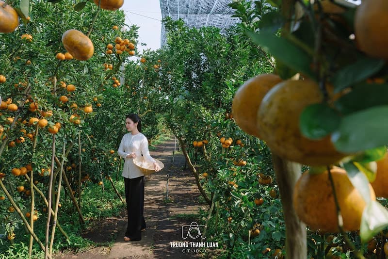 Hình ảnh Vườn Quýt Hồng Lan Anh - 4