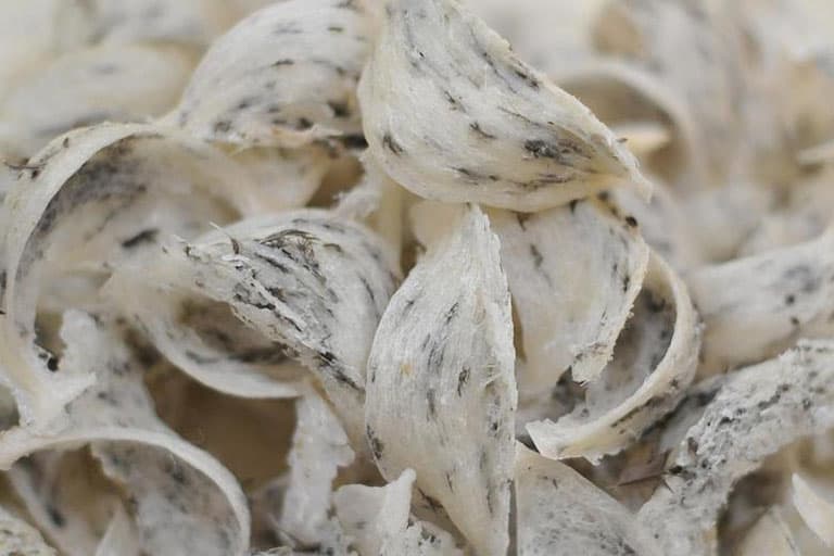 Hình ảnh Yến Sào Thu Ngân - 6