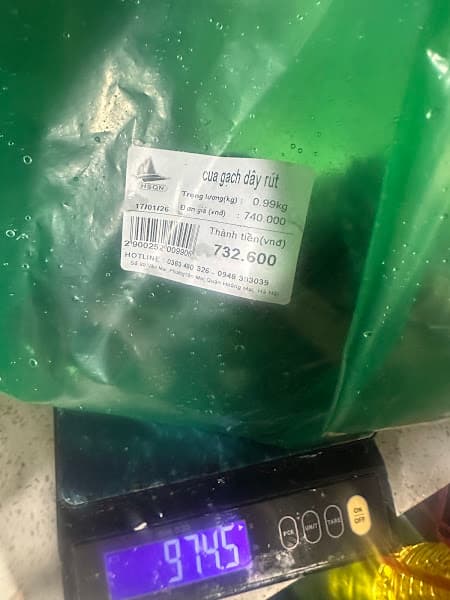 Hình ảnh Chợ Hải Sản Quảng Ninh - 4