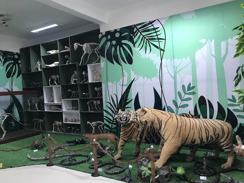 Bảo tàng Thiên nhiên duyên hải miền Trung